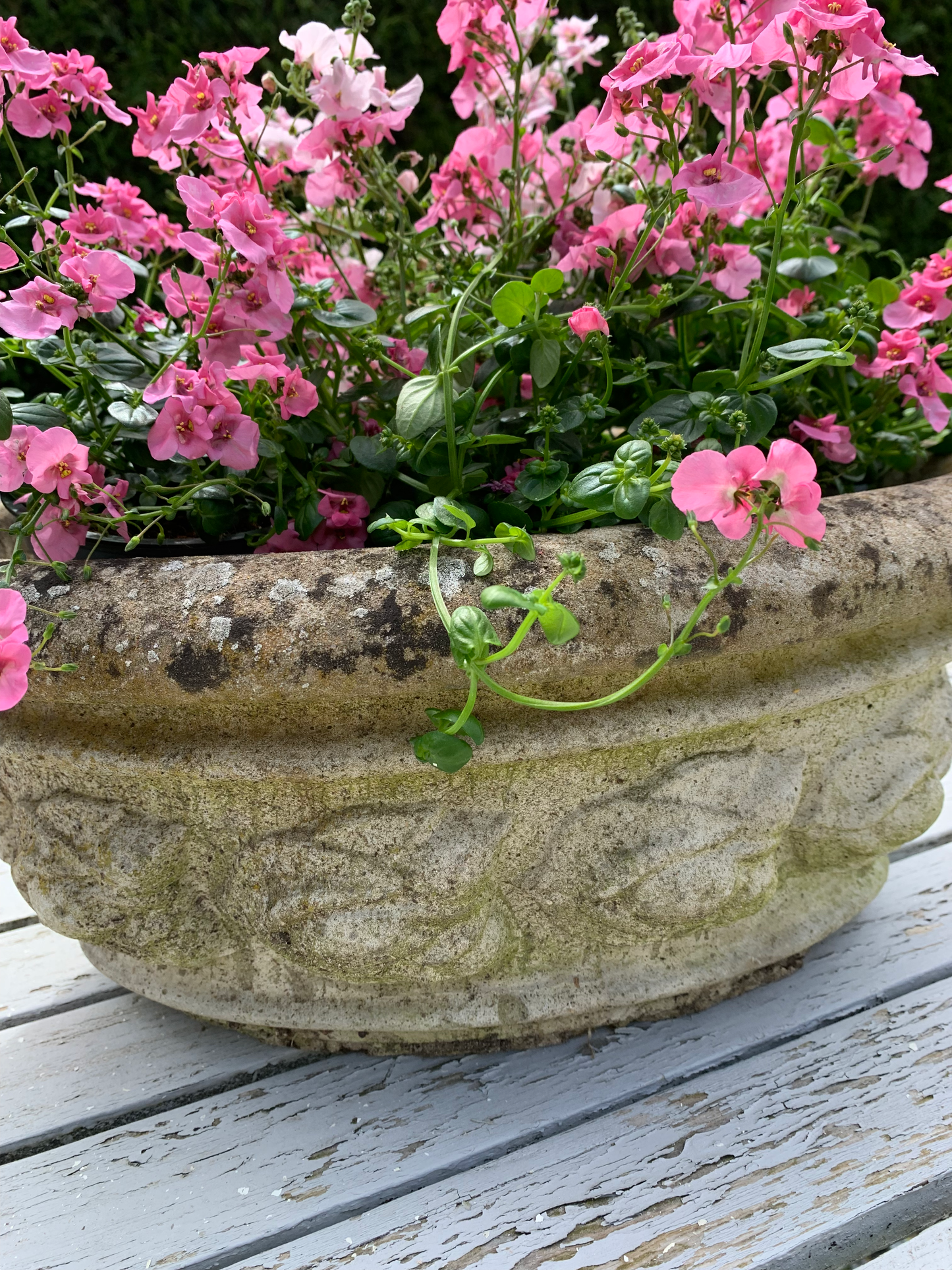 Jardinière en pierre — ovale, guirlande de fleurs