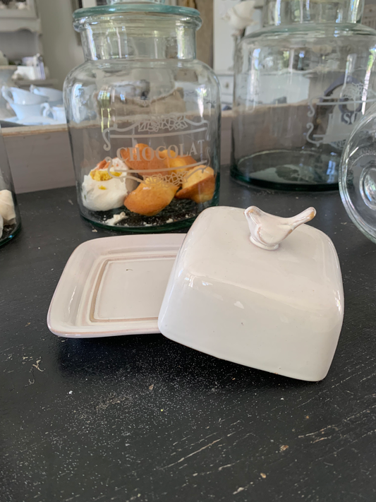 Cloche oiseau et son assiette céramique