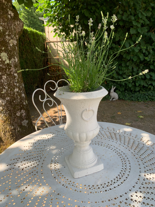 Vase Médicis – Terre Cuite Patinée Blanchie
